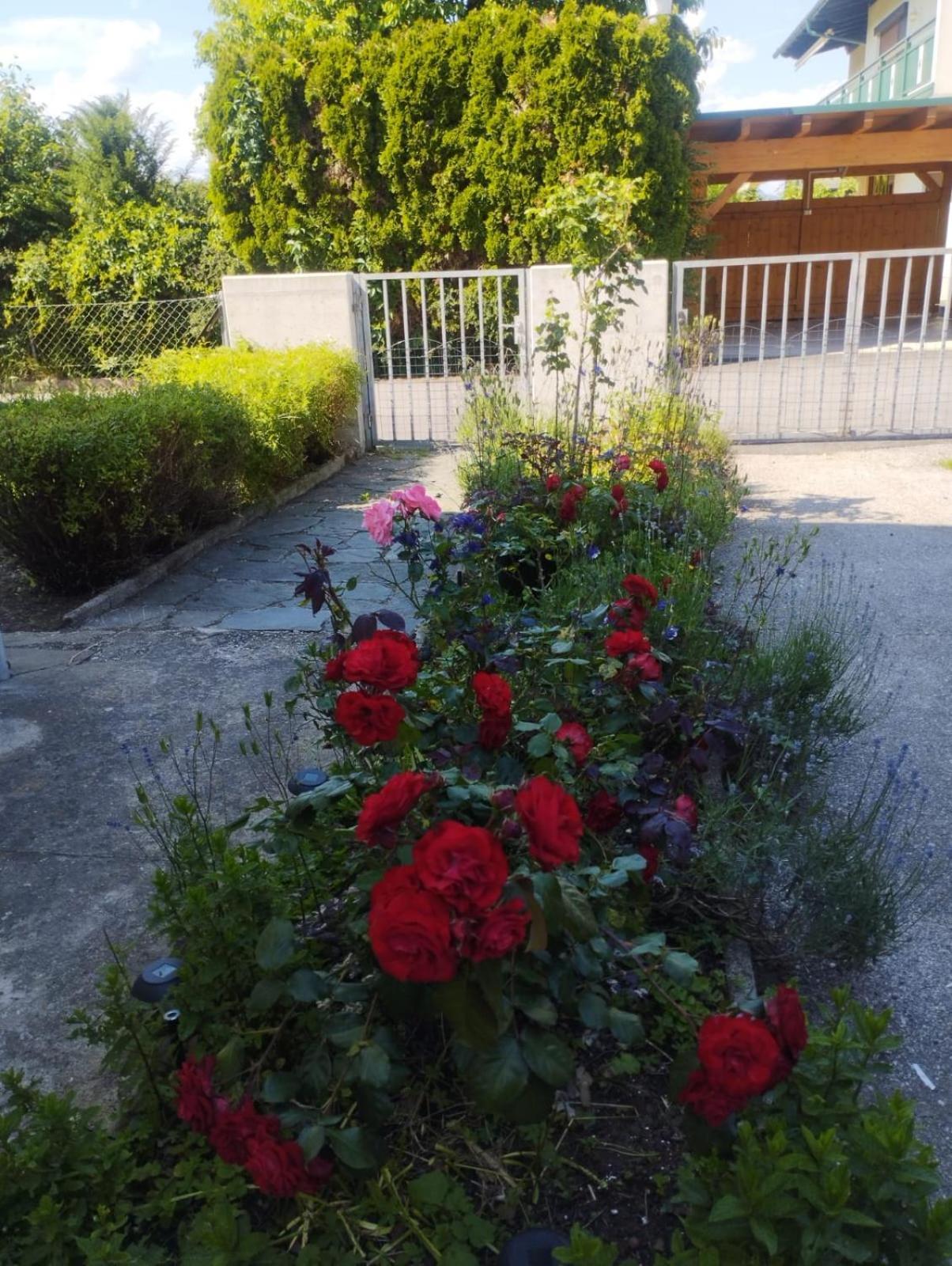 Apartment Familie Graf-nafikov Klagenfurt am Wörthersee